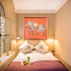 Hissan Hotel typu riad