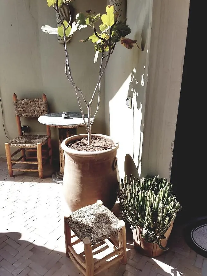 Riad Laly Tourisme Eclaire Le Bijou De La Medina Marrakesh